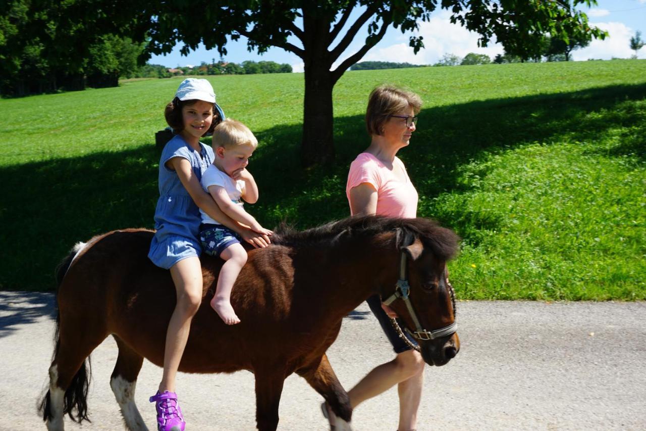 Kinderbauernhof Salmanner Steinbach an der Steyr Exterior foto