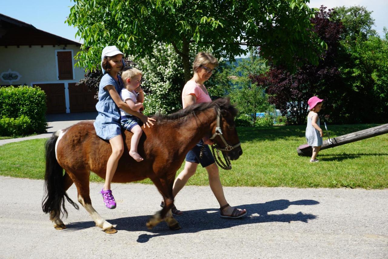 Kinderbauernhof Salmanner Steinbach an der Steyr Exterior foto