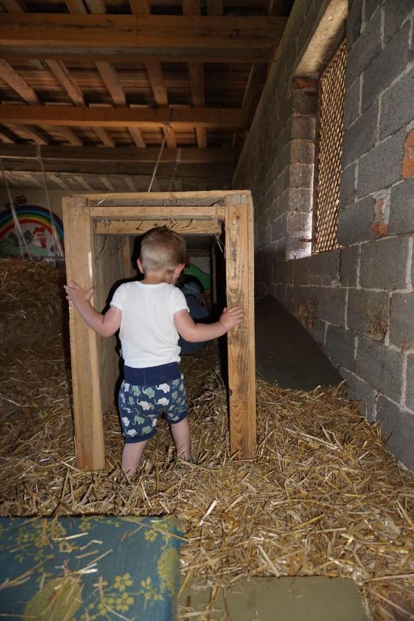 Kinderbauernhof Salmanner Steinbach an der Steyr Exterior foto