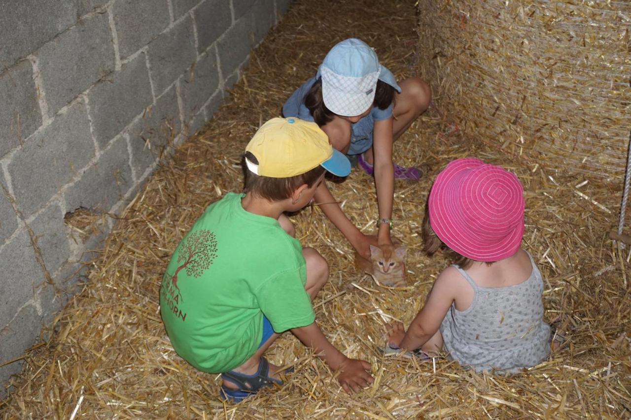 Kinderbauernhof Salmanner Steinbach an der Steyr Exterior foto