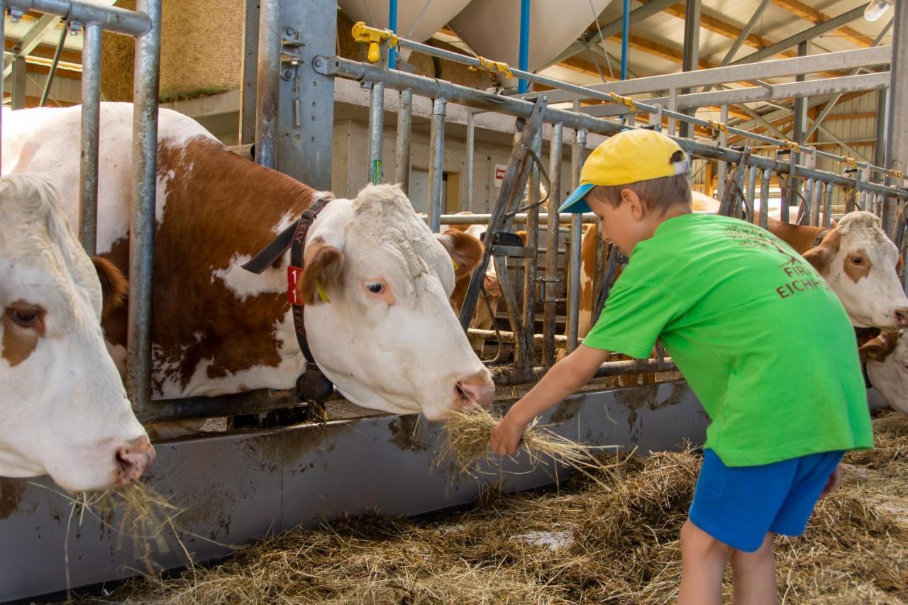Kinderbauernhof Salmanner Steinbach an der Steyr Exterior foto
