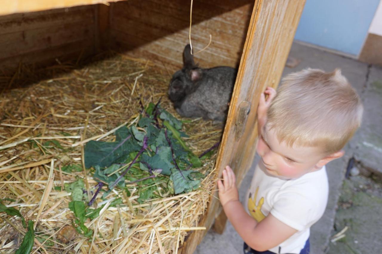 Kinderbauernhof Salmanner Steinbach an der Steyr Exterior foto
