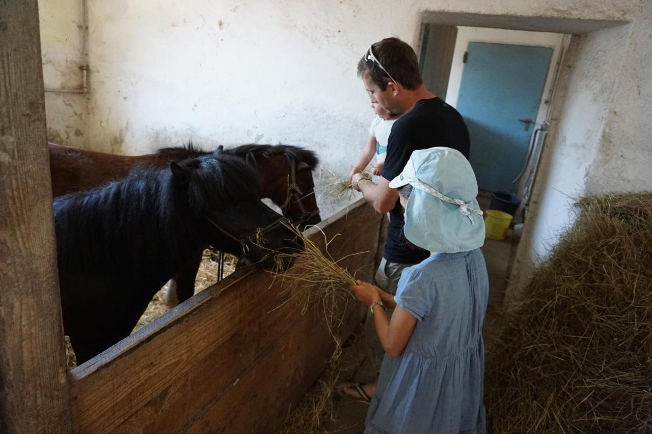 Kinderbauernhof Salmanner Steinbach an der Steyr Exterior foto
