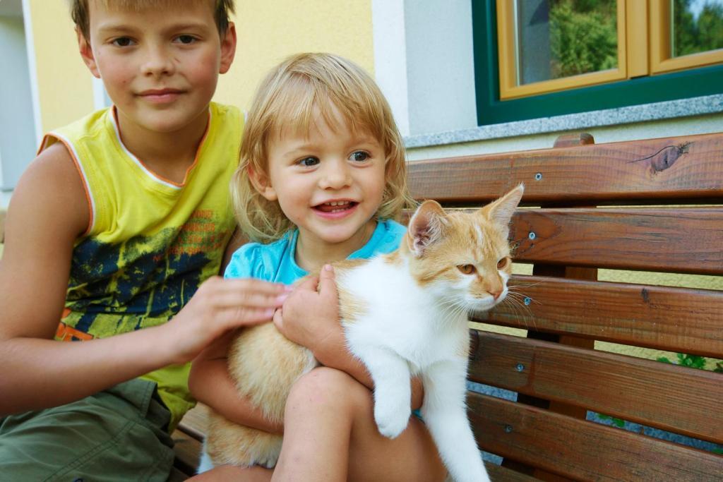 Kinderbauernhof Salmanner Steinbach an der Steyr Exterior foto