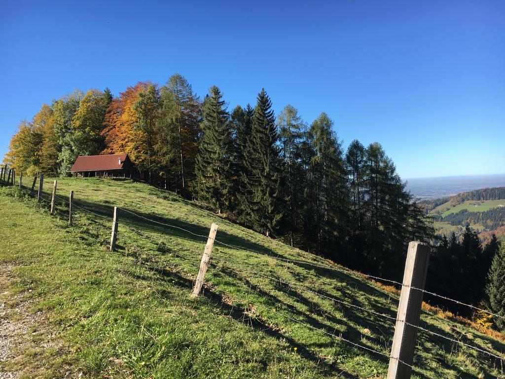 Kinderbauernhof Salmanner Steinbach an der Steyr Exterior foto